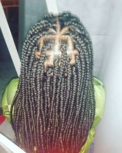 Tranas Box Braids
