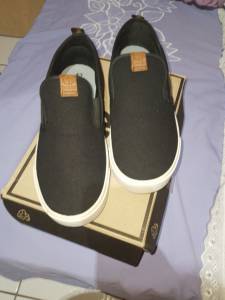 Sapato Masculino N. 43