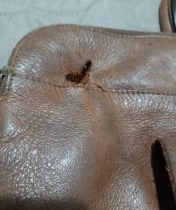 Bolsa De Couro Retangular Unissex