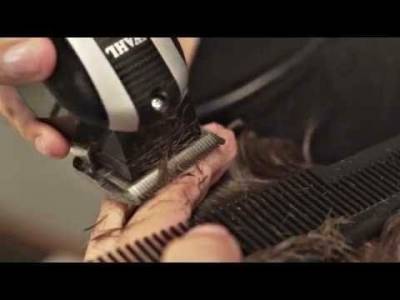 Wahl Icon V9000