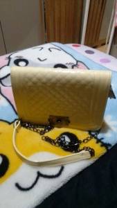 Bolsa Com Ala De Corrente.