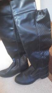 Bota