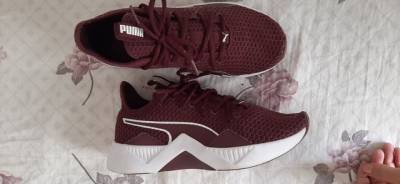 Tnis Puma 36