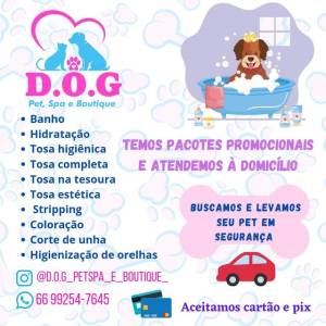 Banho E Tosa