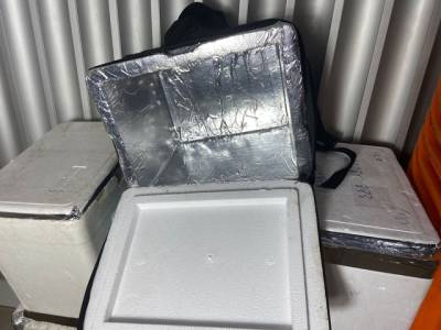 Bag Pizza 42l  Lanches Delivery Fast Food Entregador Usada