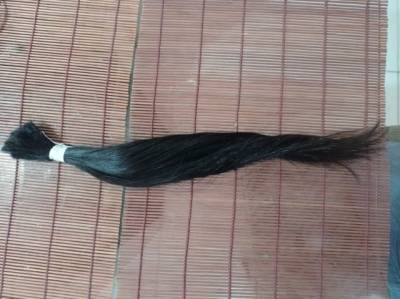 Cabelo Humano