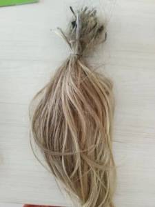 Vendo Cabelo Loiro Do Sul