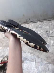 Sapatilha