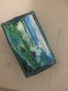 Necessarie Bolsa De Maquiagem / Remdio