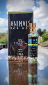 Perfumes De Bolso Importados