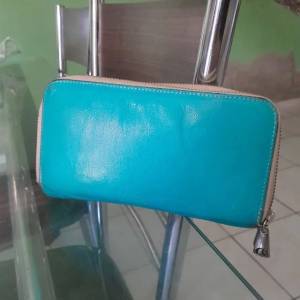 Carteira Carmen Steffens