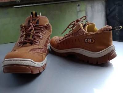 Bota Cat