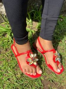 Sandlia Baianinha (leia A Descrio)