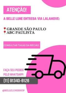 Pincel Limpeza Clios