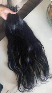 Cabelo Humano
