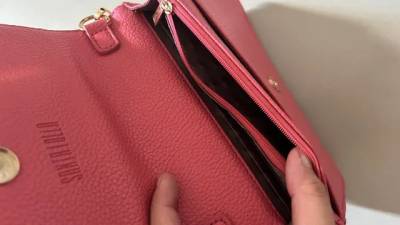 Bolsa Carteira Rosa Santa Lolla