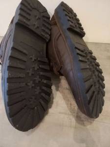 Bota