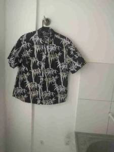 Camisa