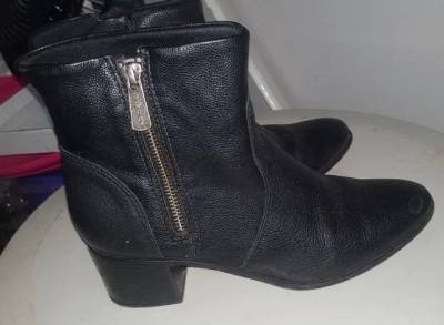 Bota