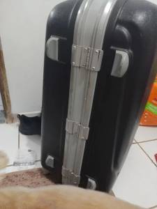 Mala Extra Grande Da Sabrino