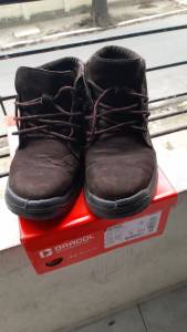 Bota