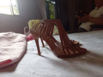 Sandlia