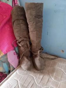 Bota