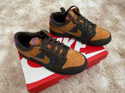 Tnis Nike Dunk Low Retro Premium Masculino