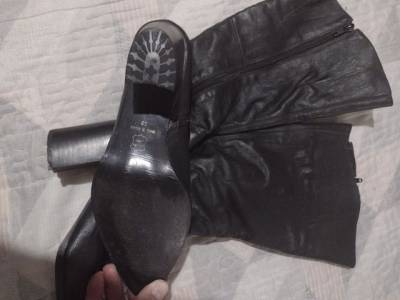 Bota