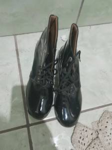 Bota