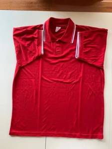 Camisas Gola Polo Gg