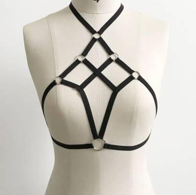 Harness