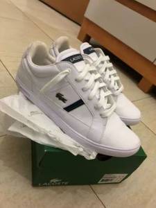 Sapato Lacoste