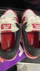 Dunk Sb Chicago