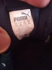 Tnis Puma Tam 43