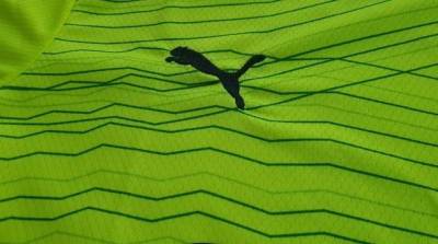 Camisa Do Palmeiras 23/24