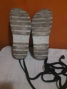Sandlia