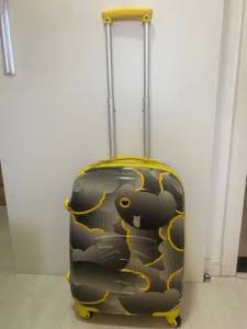 Mala Viagem Bordo Infantil Tigor 10kg