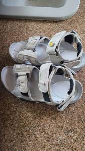 Papete Timberland Original