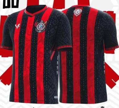 Camisa Do Vitoria Promoo De Campeo