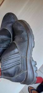 Bota