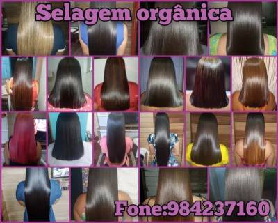 Selagem
