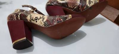 Sapato Feminino 38