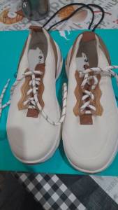 Tenis