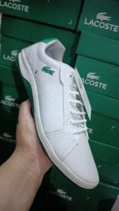 Lacoste Premium Classico Varias Cores Tenis Casual