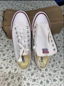 All Star Original Novo 36