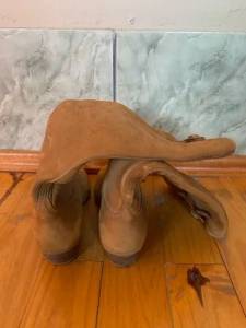 Bota