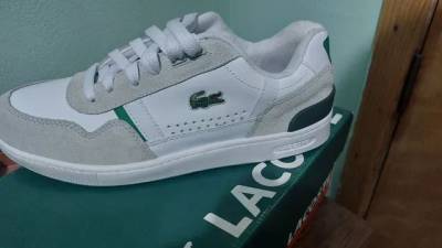 Tenis Lacoste (1 Linha)