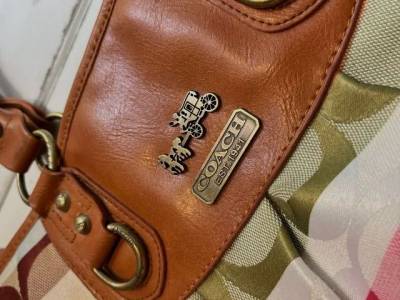 Bolsa Coach Original