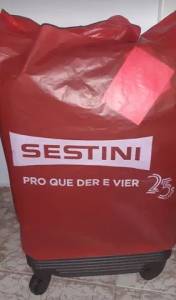 Mala Sestini